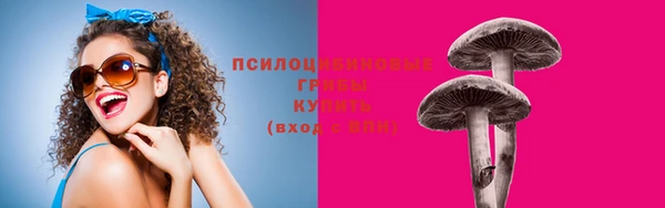 ешки Лагань