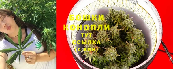 spice Ладушкин